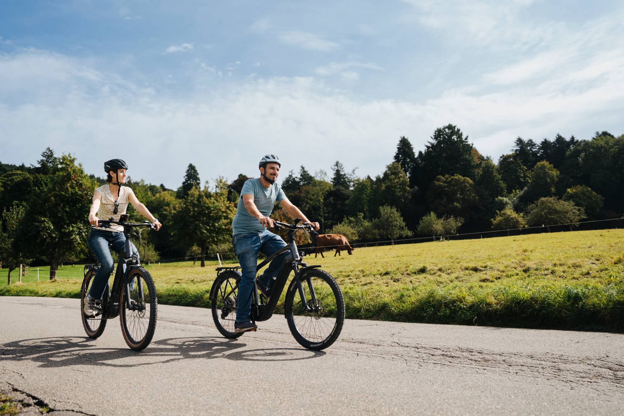 Heidelberg cityscape